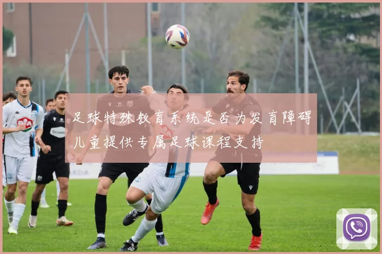 足球特殊教育系统是否为发育障碍儿童提供专属足球课程支持