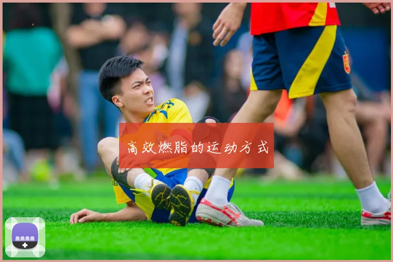 高效燃脂的运动方式