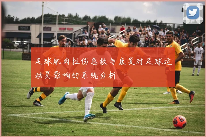 足球肌肉拉伤急救与康复对足球运动员影响的系统分析