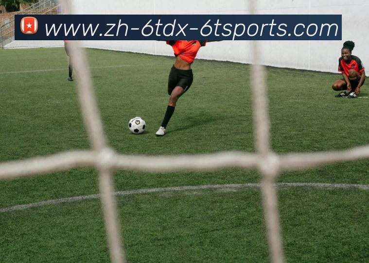 App Interface Preview