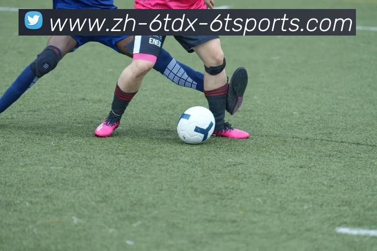 6T体育APP 封面图